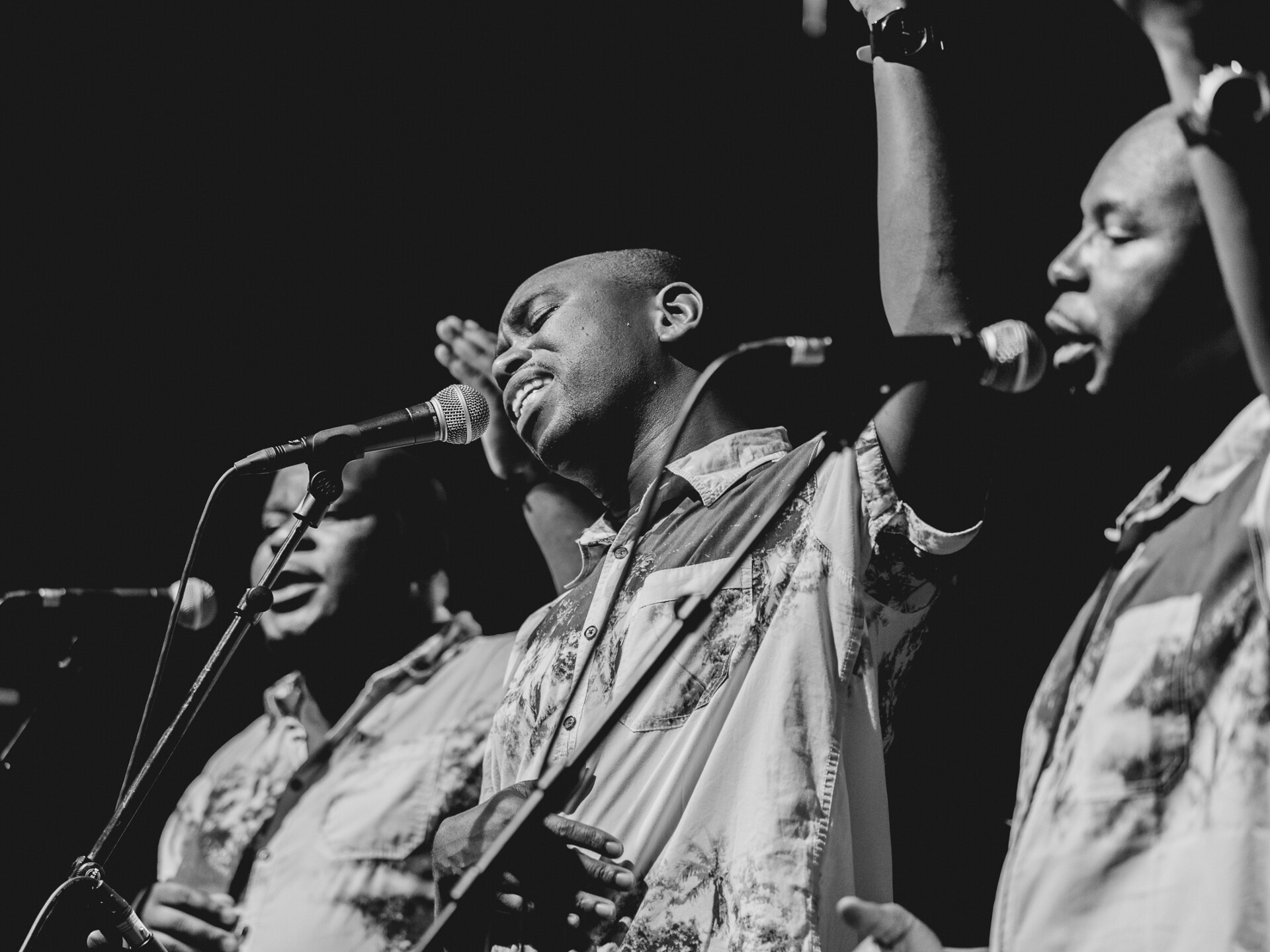 Arrée Voce : Concert de Insingizi (Zimbabwe)